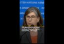 US deportations raise serious human rights concerns, UN says