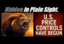 US PRICE CONTROLS HAVE BEGUN! US/CHINA TRADE DEAL? HOW ABOUT NO… HERE ARE THE DETAILS. Mannarino
