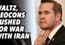 Waltz, Neocons pushed for war with Iran