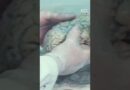 Were these UFO encounters and alien abductions real? | 60 Minutes Australia