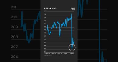 What Apple Earnings Reveal About Trump’s Trade War