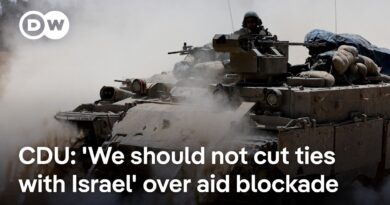 What are Germany’s red lines on Israel’s offensive in Gaza? | DW News
