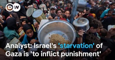 What are the setbacks to aid delivery in Gaza despite Israel letting a limited number of trucks in?
