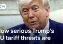 What consequences a new EU-Trump tariff war could have | DW News