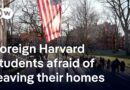 What Trump’s next move against Harvard means for foreign students | DW News