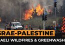 What’s the connection between Israeli wildfires and ‘green colonialism’? | Al Jazeera Newsfeed