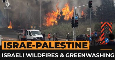 What’s the connection between Israeli wildfires and ‘green colonialism’? | Al Jazeera Newsfeed