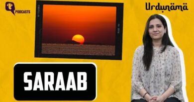 When ‘Saraab’ Looked Like Hope on the Horizon | Urdunama Podcast | The Quint