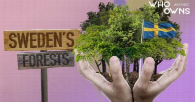 Who Owns Sweden’s Forests?
