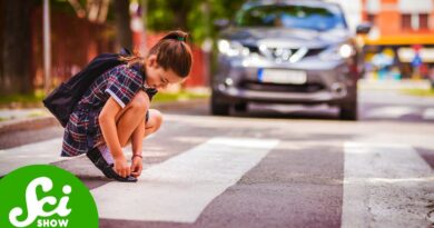 Why Do So Many More Pedestrians Die in America?