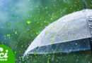 Why Don’t We Talk About Acid Rain Anymore?