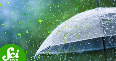 Why Don’t We Talk About Acid Rain Anymore?