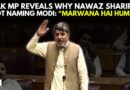 Why Is Nawaz Sharif On Not Naming Modi: “Marwana Hai Hume?” | Pakistani MP Discloses In Parliament