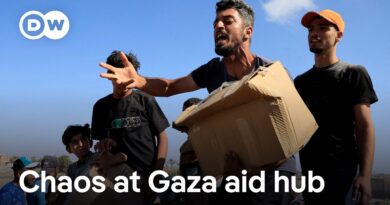 Why is the UN boycotting the new Gaza aid foundation? | DW News
