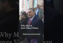 Why MAGA loves Viktor Orban