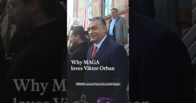 Why MAGA loves Viktor Orban