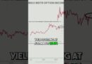 Why MicroStrategy Income ETFs Underperformed