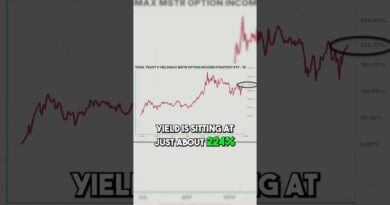 Why MicroStrategy Income ETFs Underperformed