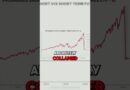 Why Shorting Volatility Funds Will Burn You