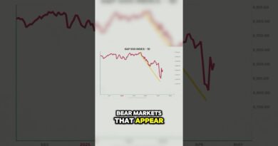Why Tax Cuts Don’t Mean a Fix