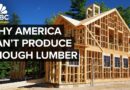 Why The U.S. Might Increase Duties On Canadian Lumber Again