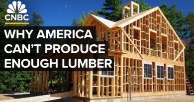Why The U.S. Might Increase Duties On Canadian Lumber Again