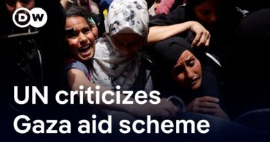 Why UN rejects US-backed Gaza aid scheme as a ‘cynical side show’ | DW News