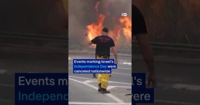 Wildfires break out near Jerusalem | DW News