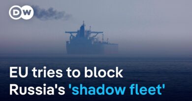 Will the new EU sanctions on Russia be more effective than previous rounds? | DW News