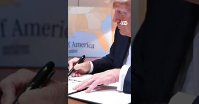 Will Trump get this so-called ‘flying palace?’ | DW News