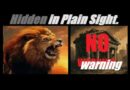 WITHOUT WARNING… SOMETHING IS GOING TO BREAK. (AND HERE IS THE PROOF). Mannarino