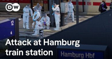 Woman arrested after knife attack injures 12 at Hamburg train station | DW News