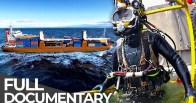 World’s Toughest Ships | Frozen Cargo Vessel: The Arctic’s Lifeline | Free Documentary