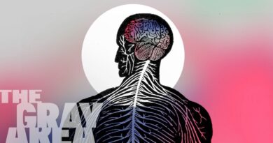 Your brain’s role in your politics | The Gray Area