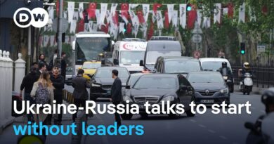 Zelenskyy leaves Turkey after Putin was not going to join the Russian delegation,  | DW News