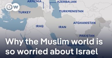 21 Muslim countries including Saudi Arabia, Qatar, UAE condemn Israeli strikes on Iran | DW News