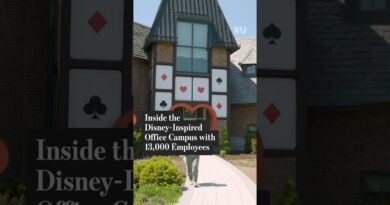 A Day Inside a Disney-Inspired Fantasyland Office in Wisconsin