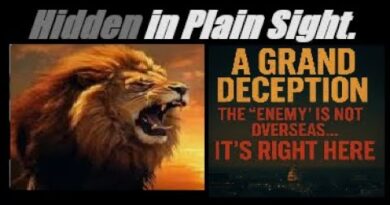 A GRAND DECEPTION. THE “ENEMY” IS NOT OVERSEAS… ITS RIGHT HERE. (Need Proof?). Mannarino