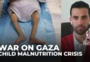 Acute malnutrition impacting everyone in Gaza, especially children: ICRC