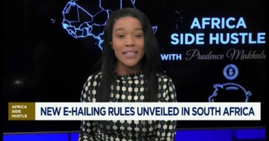 Africa Side Hustle: New e-hailing rules unveiled in South Africa