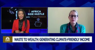 Africa Side Hustle: Waste to wealth: The sustainable side hustle revolution in South Africa