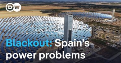 Are Spain and Portugal prone to massive power outages? | DW News