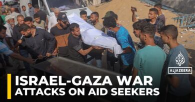 At least 47 Palestinians killed as Israeli forces open fire near Gaza aid sites