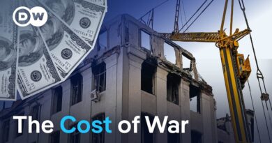 Boosting growth in conflict-affected countries | DW News
