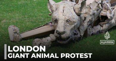Climate protest hits London with giant puppet animals