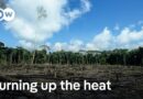 Conflicts threaten action to curb extreme heat | DW News
