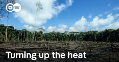 Conflicts threaten action to curb extreme heat | DW News