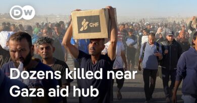 Could there be an independent probe into alleged Israeli gunfire at Gaza aid hub? | DW News