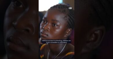 Crisis in the Sahel region leaves children out of school | DW News