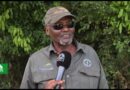 Discover Rwanda: Return of the Giants: Akagera’s Rhino Revival